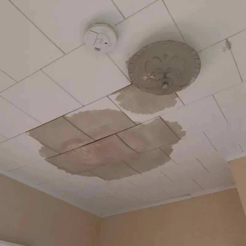 Ceiling Water Damage Repair in Coppell, TX