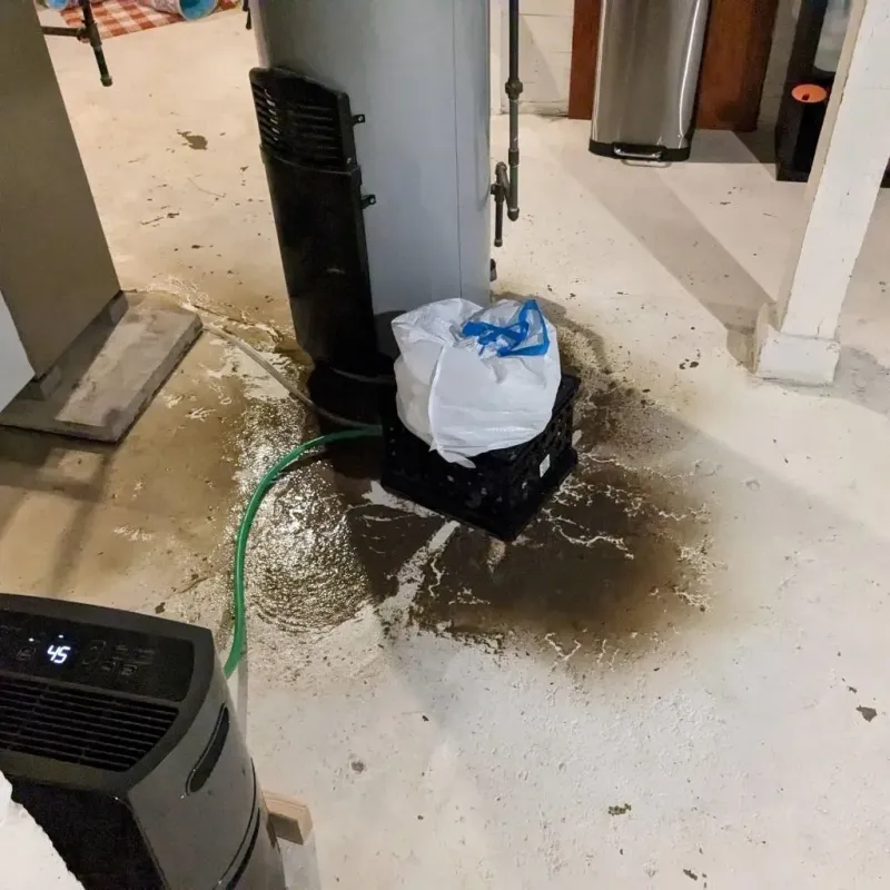 Sewage Backup Cleanup Service in Coppell, TX